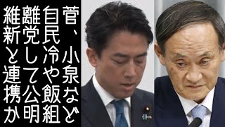 【10②｜高市早苗】首班指名で玉木雄一郎が注目される中、菅や小泉など自民党冷や飯組が造反や離党の可能性が高まる【改憲君主党チャンネル】
