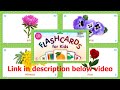 Flowers For Kids 21 Cards Flowers For Babies Flashcards For Kids