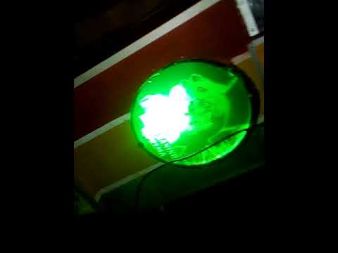 Melo da Black power.com DJ Fernando da Big lion