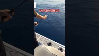 海外在住の釣り女子、SLJで大物釣る‼️ #釣り #釣り女子 #大物釣り