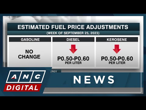Dept. of Energy sees possible oil price rollback next week ANC