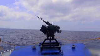 WAVE Systems - Remote Controlled Weapon Station (RCWS) Family