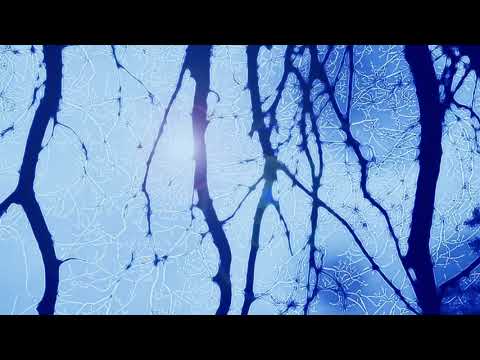 Lucy Lamb - Dark Matter (Official Music Video)