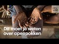 Wordt het een nieuwe pandemie?