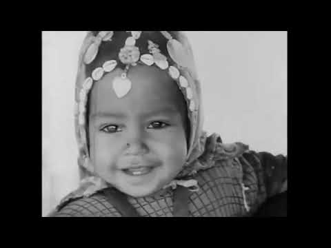 Boshoco & The Doctor - Django in Chains (Bootleg)