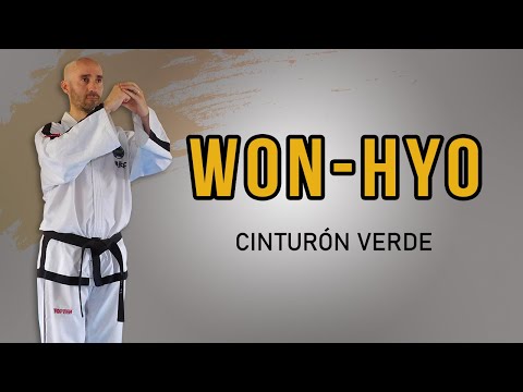 TAEKWONDO STUDIO and TAEKWONDO ATRA SUR