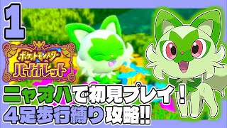 ポケモンSV #1 ニャオハで初見プレイ！4足歩行縛り攻略！！ うみなつ ポケットモンスターバイオレット Pokémon violet