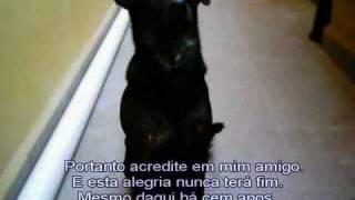 I BELIEVE IN LOVE NIKKA COSTA.avi