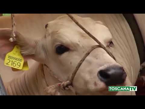 2018-08-01 FIRENZE - TUTTI GLI EVENTI DI AGOSTO NELLA CITTÀ METROPOLITANA