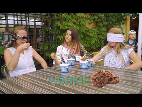 Das große Familypark Jubiläumsquiz | Sommerspecial