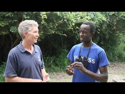 Atlasing - The BirdMap Africa Project