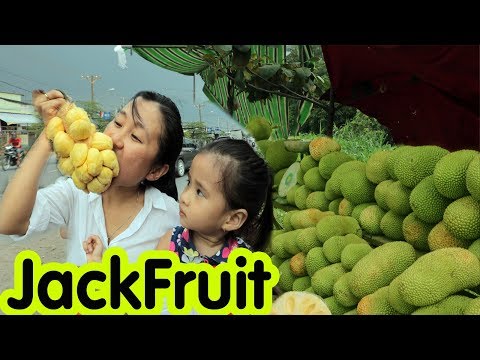 Vietnam Street Food 2018 Delicious Vietnamese Fruit JackFruit (Mit To Nu)