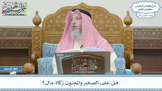 2035 - هل على الصغير والمجنون زكاة مال؟ - عثمان الخميس