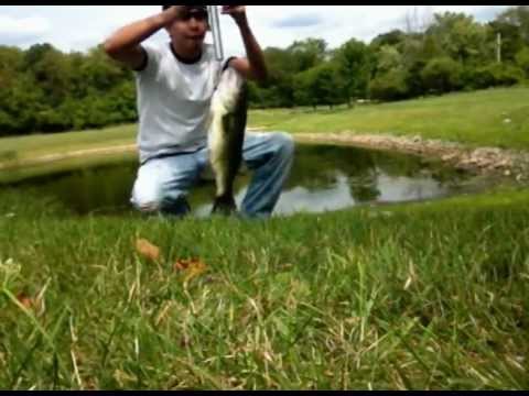 Big Bass Pond Fishing (Must See)!!!