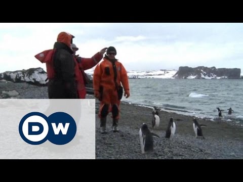 Патриарх и пингвины: история одной встречи в Антарктиде