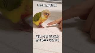 유튜브 썸네일
