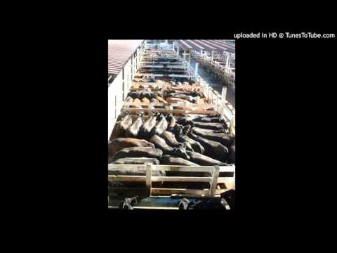 Today's Tango Is... La Tablada - Juan D'Arienzo 11-08-1965