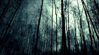 Download lagu 'Into The Dark' [with Drums] - Sebastian Larsson mp3