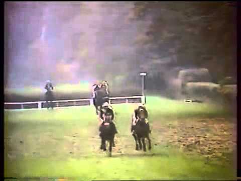 95. Velká pardubická steeplechase - 1985