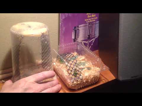 SPHINX MOTH STAGE 2 DAY 1!!!!!!!!!!!!!!!!!!!!!!!!!!!!!!!!!!!!!!!!!!!!!!!!!!!!!!!!