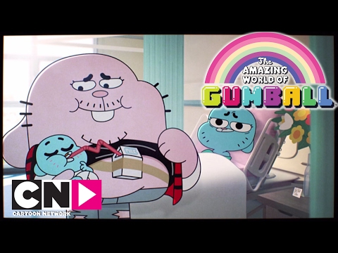 L'histoire de la famille | Le Monde Incroyable de Gumball | Cartoon Network