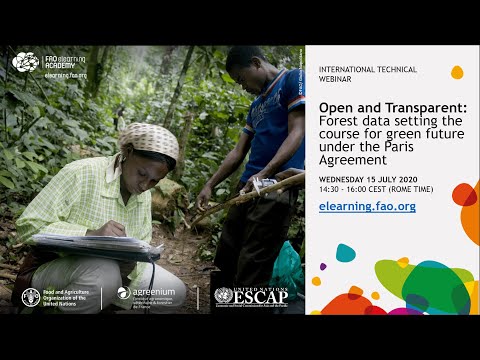 Open and Transparent: Forest data setting the course for green future under the Paris Agreement