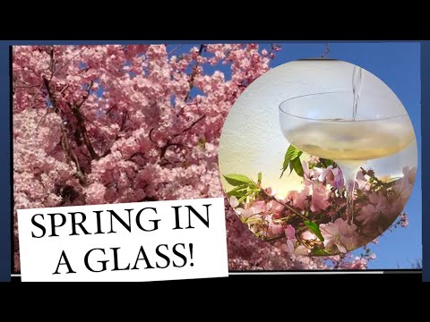 Love Spring Cherry Blossoms? You Can Easily Turn Them Into Drinks And Be Your Own Hip Bartender!