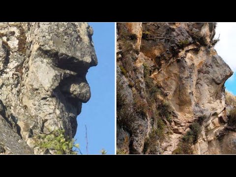 Arizona Sphinx, Petrified Trees, Rock Faces, Mountains from a new Perspective, Topics for Discussion