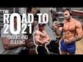 Road to 2021: Cardio and Bulking, What Type, How Often?