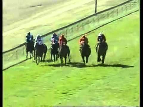 2012-08-14 Scottsville - race 2