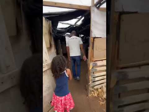 3 de fevereiro de 2020