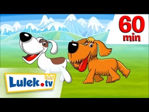 Pieski małe dwa I + ZESTAW 60 minut dla dzieci HD I Lulek.tv