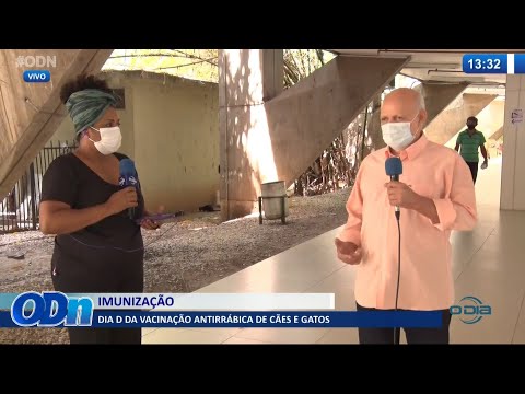 Dia D da vacinacão antirraÌbica de caÌƒes e gatos 24 09 2021