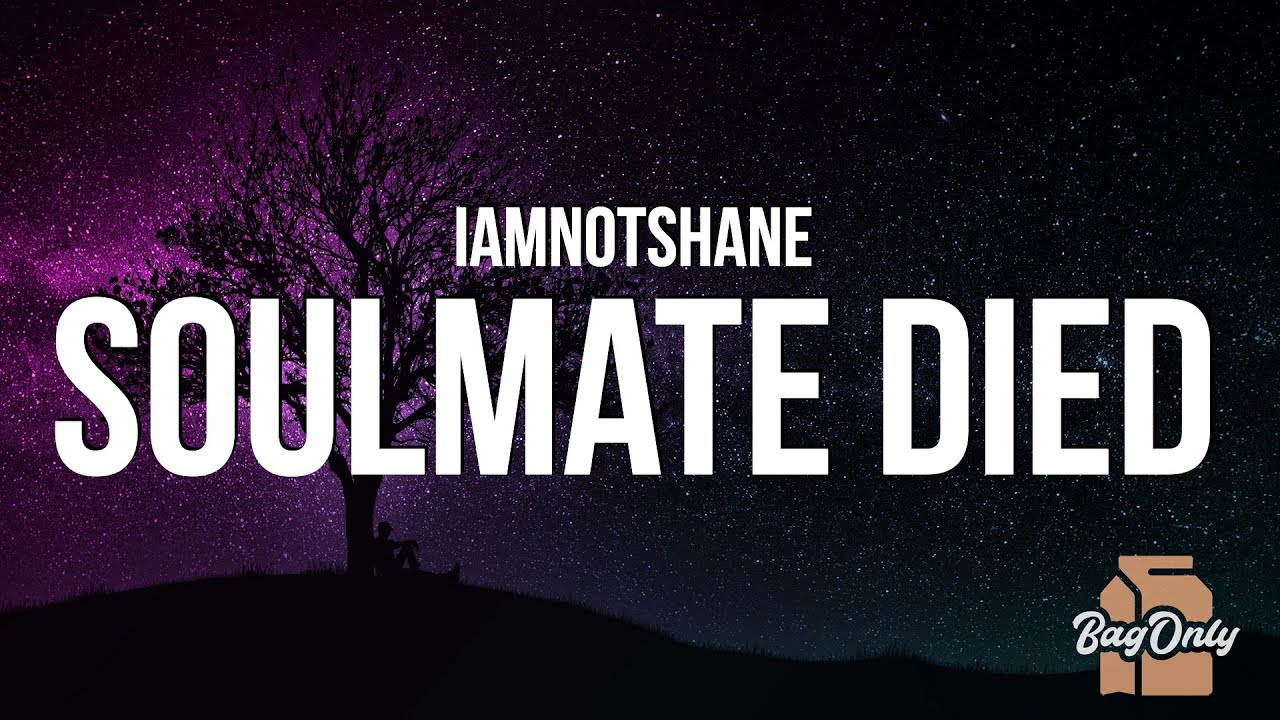 Maybe my soulmate died. Maybe my soulmate died текст. Maybe my soulmate died текст. Maybe my soulmate died. Maybe my soulmate died idk.