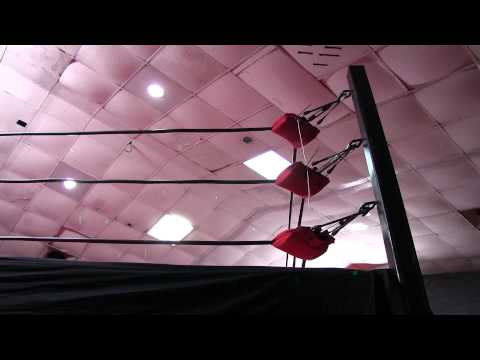 This Wrestler Jumped Into The Ring Off The Second Floor Of A Louisiana Mall