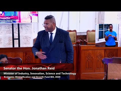 Maintaining strong foreign exchange vital for Barbados, says Minister