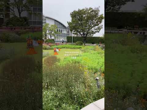 吊り下げられた花と多年草 – 目を引く花のエクステリアのための 10 のアイデア  庭園