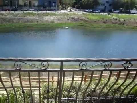 PL2247 - Marina Del Rey 5 Bedroom House For Rent.