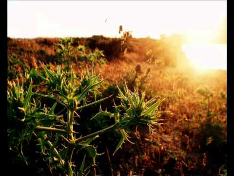 Rainbow of Love - Bob Sinclar Feat Ben Onono