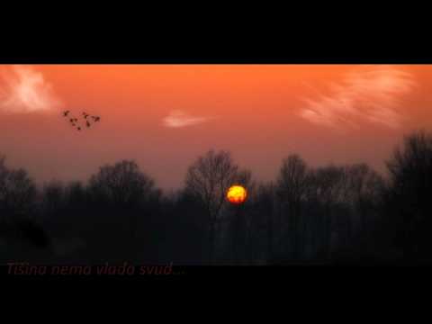 Dubravka Nešović-Tišina nema vlada svud