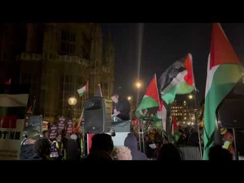 John Finucane MP addresses rally for Palestine in London