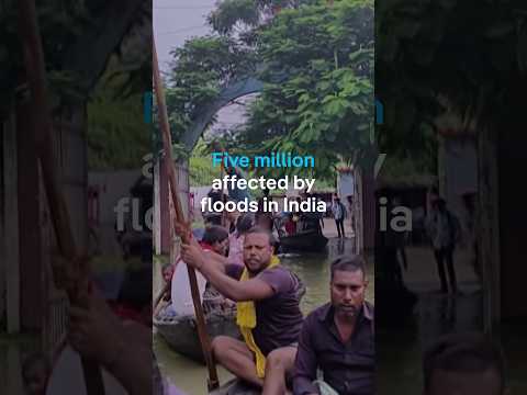 Millions hit by floods in India's Bihar | DW News