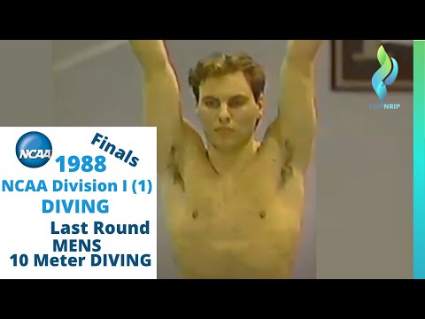 1988 Mens 10 Meter Diving NCAA Division I (1) Diving Championships