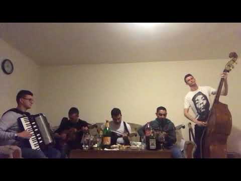 ZLATNIK - Hora (Danijel Meseljević)