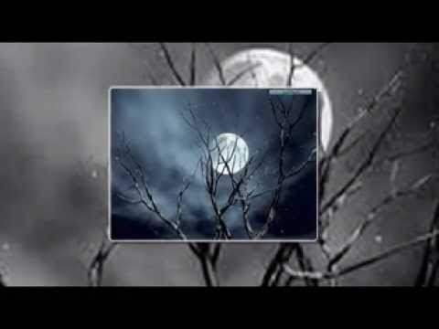 Có bao giờ - Tiến Thành