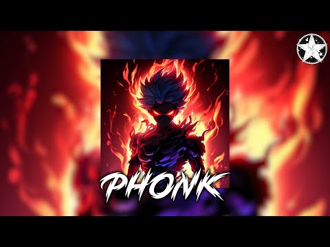 Brazilian Phonk Mix 2025 ※ Best Baile Funk ※ Tik Tok Viral Phonk Music Mix #721