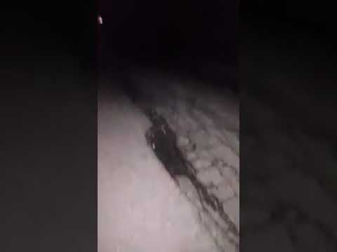 Calabrese Incazzato "CHIMMU VI VENI NA PARALISI NTA PANZA" buca la ruota della macchina