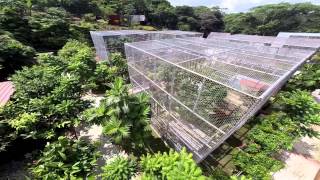 preview picture of video '(pre-edit) Safarick's Zoologico fly-over of primate enclosures.'