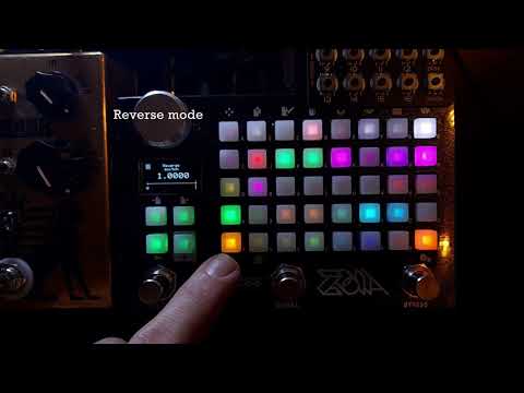 Empress Zoia Patch - Apsidal Looper (Single Looper with Funny Options)