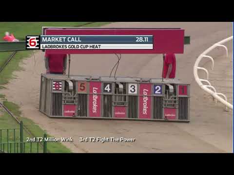 2020 LADBROKES GOLD CUP - HEAT 5 - T6 MARKET CALL